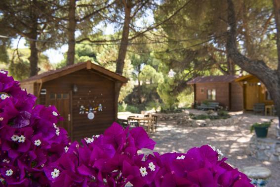 Mordogan Morkoyun Bungalov Kamp מראה חיצוני תמונה